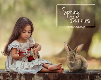 Spring Bunnies, Easter overlays, Real Animals, 10 PNG, photoshop overlay, fantasy, clip art, photoshop, Animal Overlays, Bunny Overlays