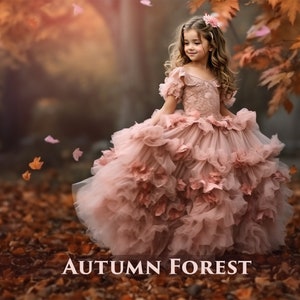 Autumn Forest Backgrounds, 20 PNG autumn backgrounds, leaves, falling leaves, Golden Hour, Digital Background, Portraits, autumn colors image 1
