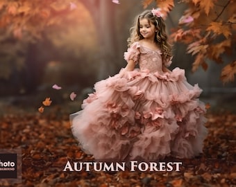 Autumn Forest Backgrounds, 20 PNG autumn backgrounds, leaves, falling leaves, Golden Hour, Digital Background, Portraits, autumn colors