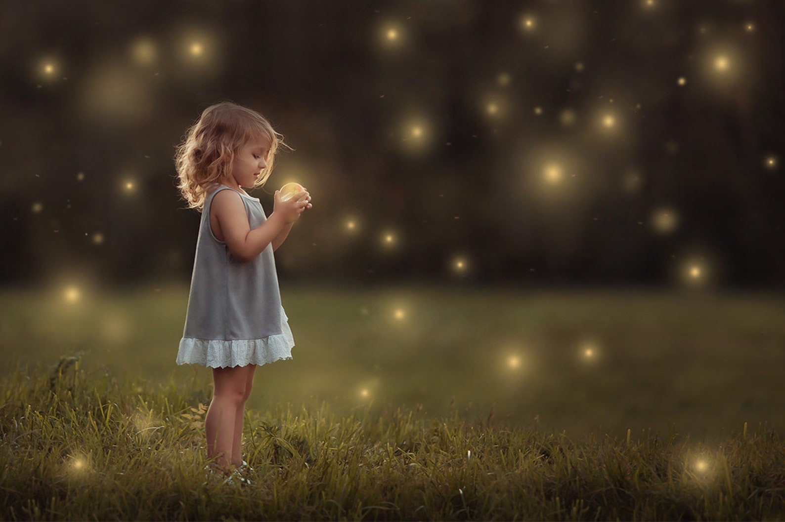 Firefly photoshop