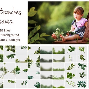 Green Branches and Leaves Overlays, 55 PNG Photoshop overlay, Transparent Background, Green Leaves, Summer overlays, Spring overlays image 2