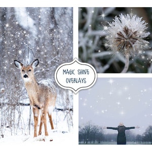 Magic shine Overlay, Shine Effect Photo Overlays,Fantasy Christmas, Star, Blowing Glitter Photoshop Overlays, Snowflake, Snow, Sparkling image 1