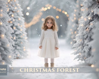 Christmas Forest backdrops, Winter, Snow, Magic Forest,  Bokeh Digital Background, Portraits, High-Resolution