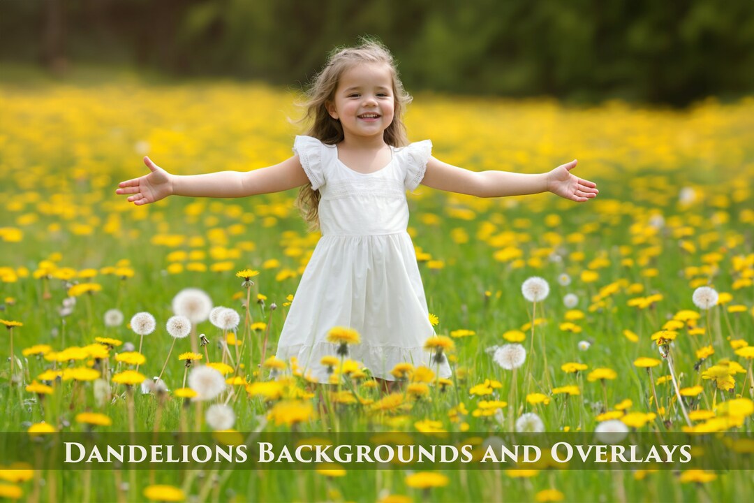 Dandelion Field Backgrounds and Overlays, 45 PNG Photoshop Overlay ...