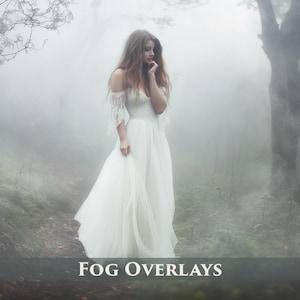 105 Fog Overlays, PNG with Transparent Background, Smoke, Photoshop overlay, Realistic Fog,  Mist Overlays, Clouds Effect,
