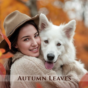 Autumn Leaves Overlays, 80 PNG Photoshop overlay, Transparent Background, Falling Leaves, Fall, Toning color, Autumn, Maple, Birch