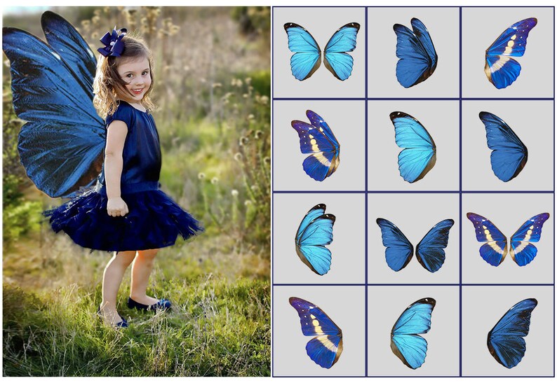 Blue Butterfly Wings Overlays Fairy Wings 12 Png Photoshop Etsy Blue Butterfly Wings Overlays Fairy Wings 12 Png Photoshop Etsy