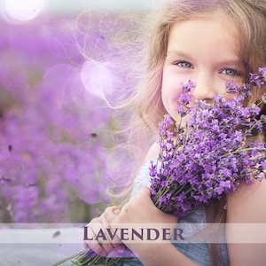 Sunny Day Bundle 233 Photo Overlays, Lavender Flower, Leak, Sunligh