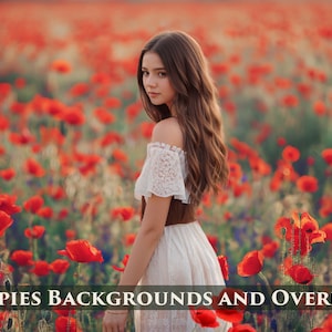 Puede incluir: Una mujer con un vestido blanco de encaje se encuentra en un campo de amapolas rojas. Las amapolas están en plena floración y crean un fondo vibrante.