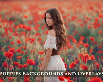 Mohnfeld Hintergründe und Overlays, 50 PNG Photoshop Overlay, Transparenter Hintergrund, Sommer Frühling Overlays, Blumige Overlays