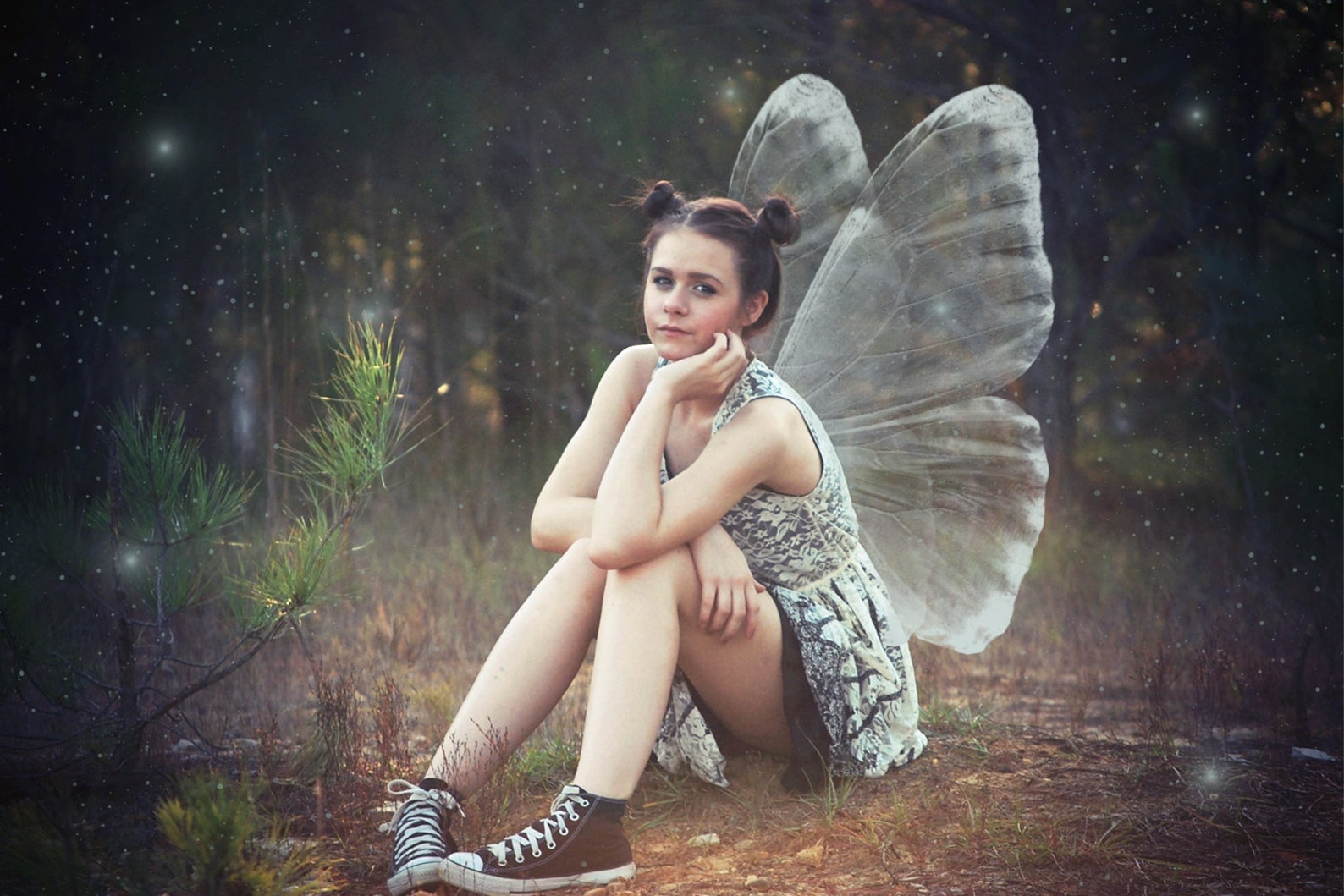 Flügel Overlays Fee Flügel 16 PNG Photoshop Overlay - Etsy