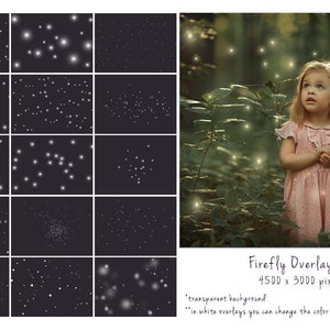 Firefly Overlays, PNG, Photoshop overlay, Fantasy, Magical fairy, Glitter trail, Star trail, Sparkle trail, Fairy Dust, Pixie dust image 2