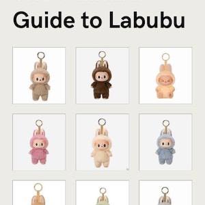 The Ultimate guide to Labubu
