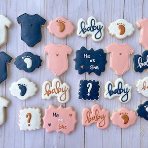 Gender reveal cookies / baby shower Baby shower cookies / baby boy cookies / baby girl cookies / baby shower favors 12 cookies