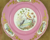 Antique 18th century (1767) Sevres pink hand-painted porcelain cabinet plate, bird cartouches with gold gilt gilded detail