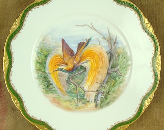 May include: A white porcelain plate with a green and gold rim features a hand-painted image of a bird of paradise with yellow, orange, and red plumage. The bird is perched on a branch in a lush green forest setting.