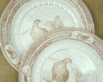 1800s antique transferware plates pair, grouse birds gamebirds, F. Winkle Moorland, brown, 19th C. century