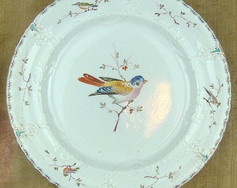 Antique ironstone cabinet plate, hand painted birds, 1800s 19th century Staffordshire England, Mason's Patent Ironstone China