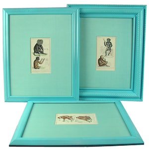 3 monkey engravings, antique hand-colored in boldly painted wood frames with matching fabric mats, 1800s, 19th century