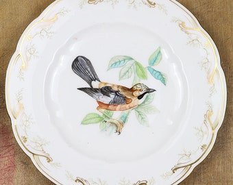 May include: A white porcelain plate with a gold rim and a delicate floral design. The centre of the plate features a hand-painted image of a bird perched on a branch with green leaves.