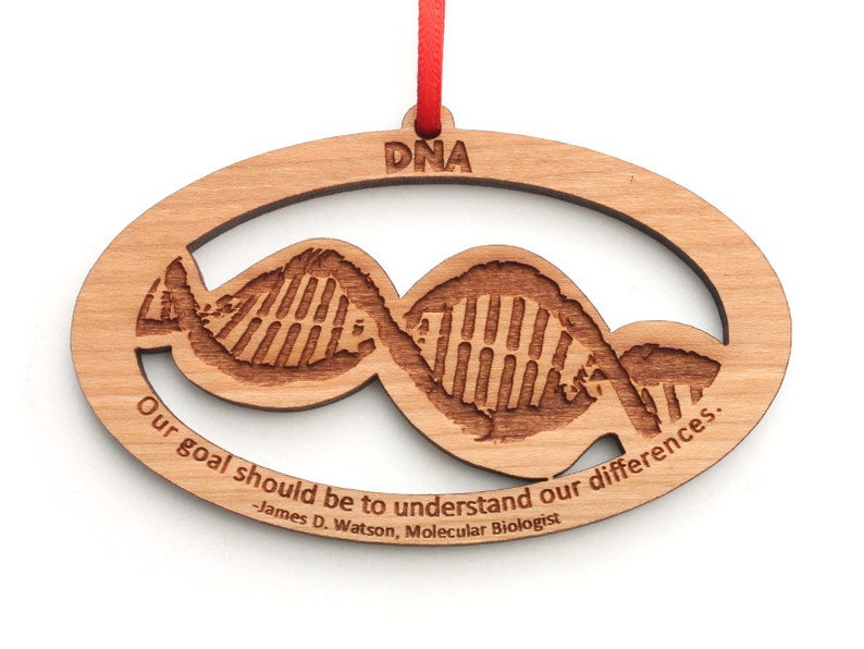 DNA Bio-Science Ornament Biology gift for Molecular Biologist Major or Professor Gift for Teacher Quote by James D. Watson NPW image 1