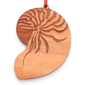 Nautilus Shell Ornament - Beautifully Detailed Nautilus Shell Wood Ornament
