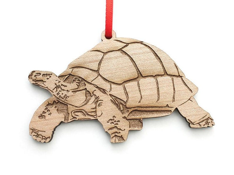 Galapagos Tortoise Ornament Slow And Steady Wins The Race Galapagos Tortoise Wood Ornament zdjęcie 1