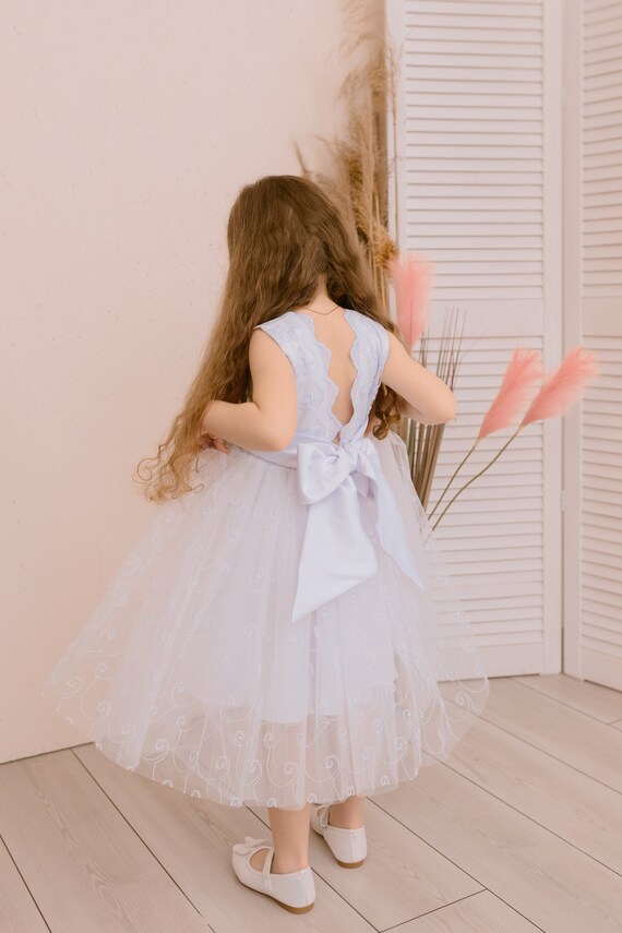 embroidered christening dress Orchid Embroidered Dress - Light Blue 4 main image 0