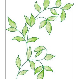 Peut inclure: Une vigne verte avec des feuilles qui sont soulignées en vert et remplies d'une nuance de vert plus claire.