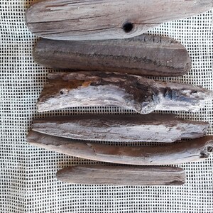 10 small driftwood sticks Natural driftwood Rustic home decor Wood art Craft supplies Beach wedding decor Sea side finds