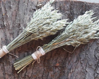 Natural dried oats bundle Oats bunch Avena oats Dried wheat bouquet Country wedding Rustic home decor Rustic wedding decor Dried grains