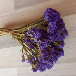 May include: A bouquet of dried purple statice flowers with thin, light brown stems tied together with a piece of natural twine. The small, ruffled blossoms are densely clustered, showcasing deep violet and indigo hues throughout the arrangement.