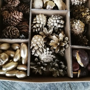 Forest find mix in box Natural Christmas decor mix Gold and natural color DIY Christmas decors Gold natural finds