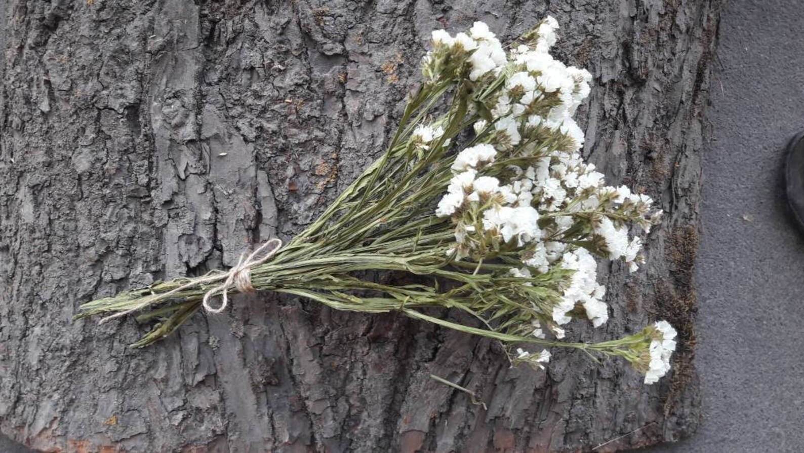 White Dried Statice Flowers White Limonium Bouquet White Etsy Australia