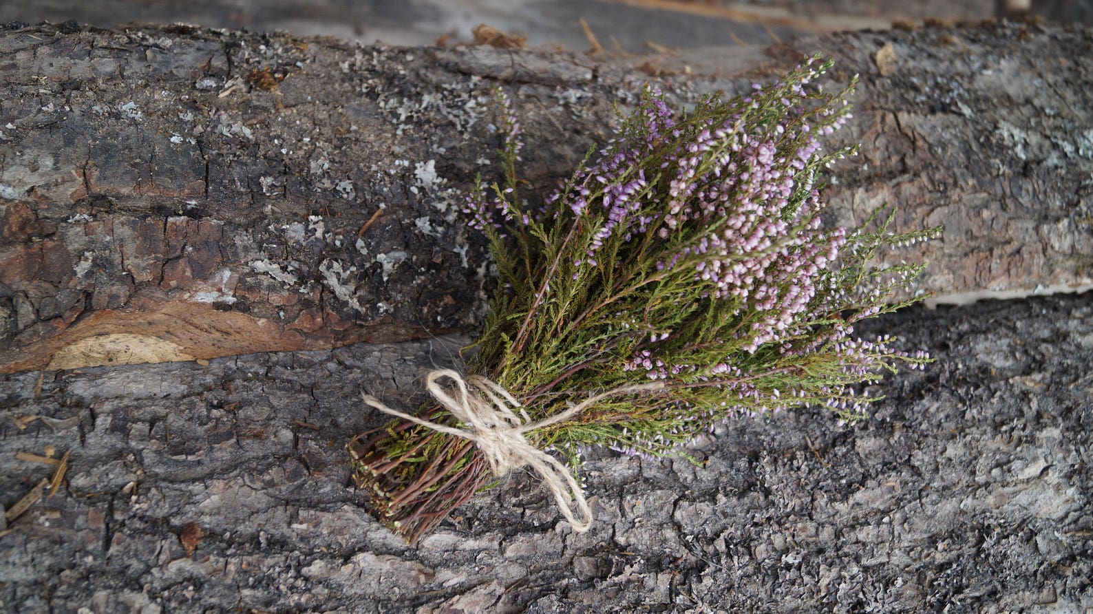 Dried Heather Bouquet Small Heather Bouquet Dried Flower Etsy