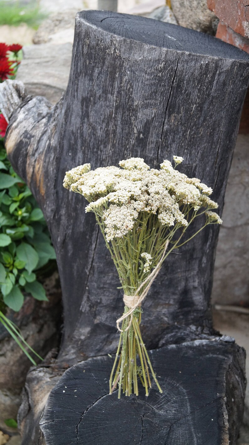 Rustic Dried Flower Bouquet Dried Yarrow Bouquet Achillea Etsy