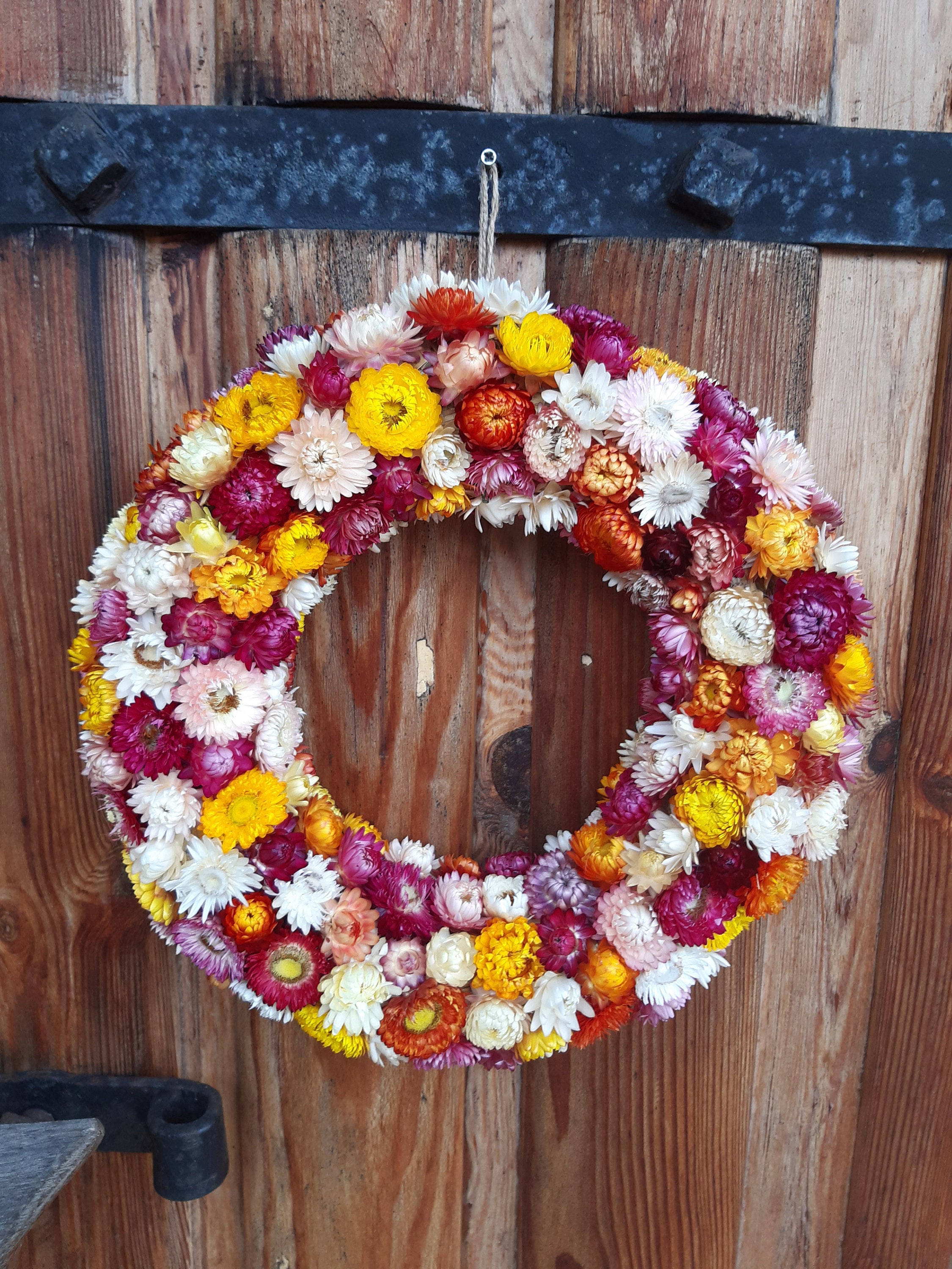 Colorful Strawflower Door Wreath Dried Helichrysum Wreath Etsy