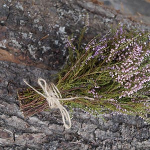 Dried heather bouquet small heather bouquet Dried flower bouquet Calluna vulgaris Natural dried flower Old Cottage bunch Rustic bouquet image 2