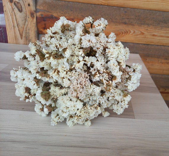 White Dried Statice Flowers White Limonium Bouquet White Statice