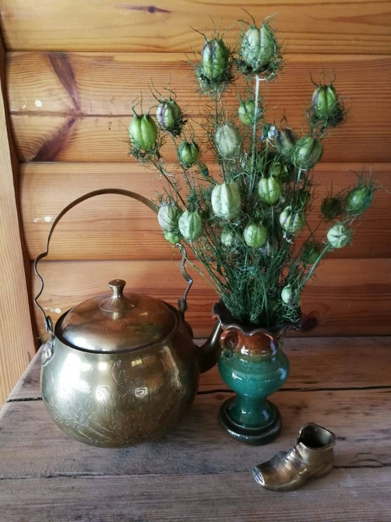Dried Green Nigella Love In A Mist Flower Dried Flower Bouquet Etsy