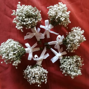 Dried gypsophilia boutonniere set Babys breath rustic boutonniere Groom wedding accessories Groomsmen buttonhole dried flower boutonniere
