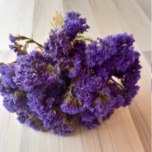Bouquet séché de limonium bleu violet, bouquet de statice séché, bouquet de fleurs séchées, arrangement de fleurs séchées, approvisionnement pour projets de bricolage