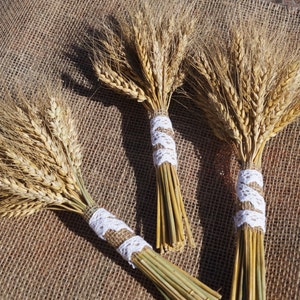 Small dried wheat bouquet Dried wheat bunch Dried flower bouquet Triticale bunch Rustic bridal bunch Rustic wedding decor Floral arrangement