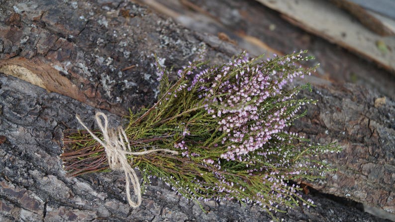 Dried heather bouquet small heather bouquet Dried flower bouquet Calluna vulgaris Natural dried flower Old Cottage bunch Rustic bouquet image 3