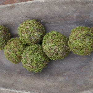 Può includere: Cinque sfere di muschio con una superficie verde testurizzata sono disposte all'interno di una grande ciotola per impasto in legno allungato e usurato. La ciotola ha una finitura rustica marrone scuro liscia con venature visibili e un interno profondo.