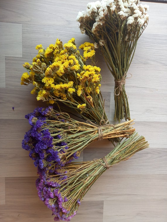 10 Pack Dried Flower Forget Me Not Bouquets Natural Dried Flower with Stem  Dried Embossing Flower Bundles Artificial Flower Dried Floral Arrangement