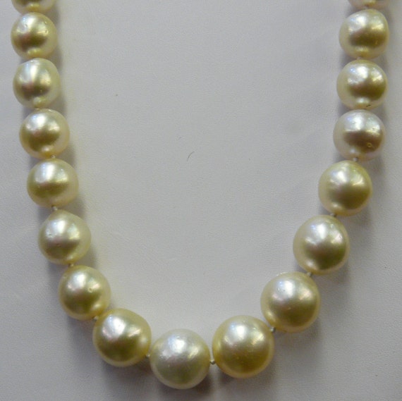 South Sea White Semi Round Pearl Necklace 12.8x13.1mm to10.9x9.1mm 18 1/2 Inches