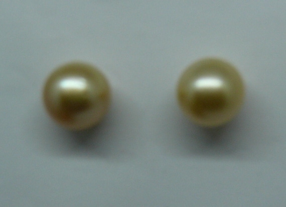 South Sea Golden 10.8mm & 11.1mm Pearl Earring Stud 14k Yellow Gold