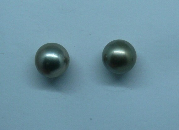 Tahitian Light Gray 10.8mm & 10.9 mm Pearl Stud Earrings 14k White Gold Post