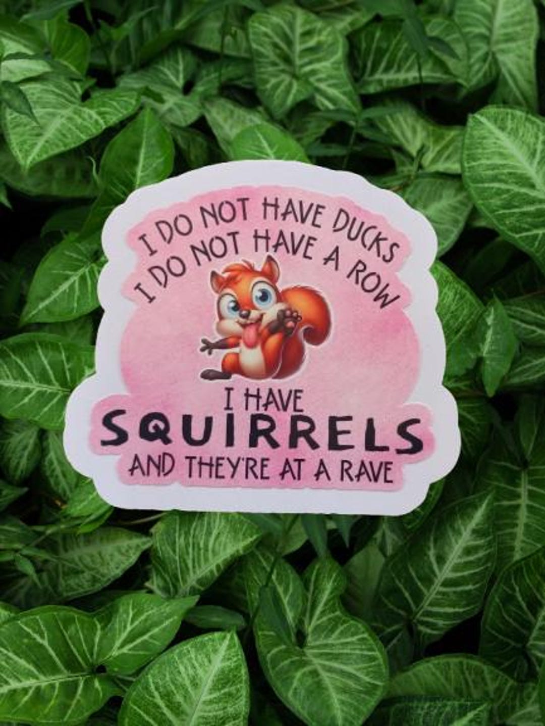 Squirrel Rave Sign Crazy Squirrels at a Rave Sticker – Waterproof Glossy Sticker - Etsy